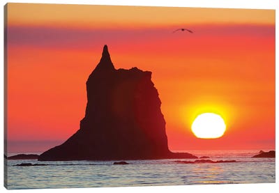 Sea Stack With A Setting Sun In The Background, Toleak Point, Olympic National Park, Washington, USA Canvas Art Print