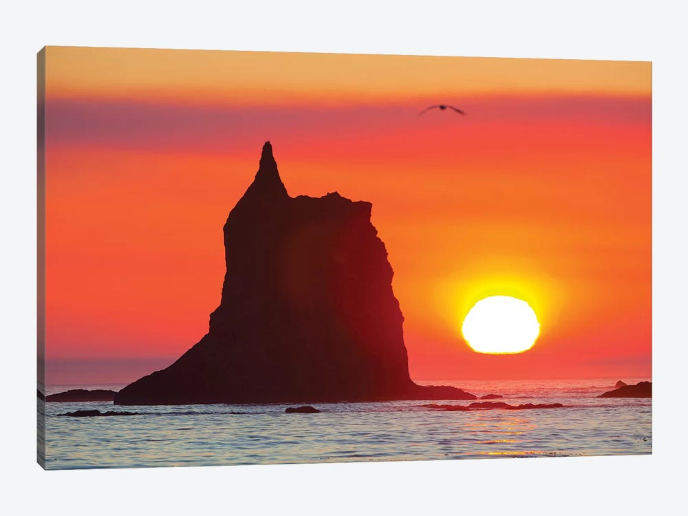 Sea Stack With A Setting Sun In The Background, Toleak Point, Olympic National Park, Washington, USA by Gary Luhm 1-piece Canvas Art