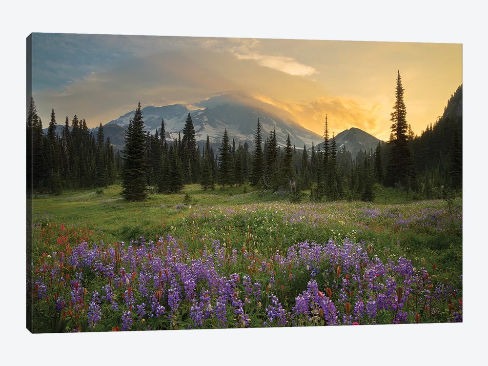 Mountainside Landscaper, Indian Henry's Hunting Ground, Mount Rainier National Park, Washington, USA by Gary Luhm 1-piece Canvas Art