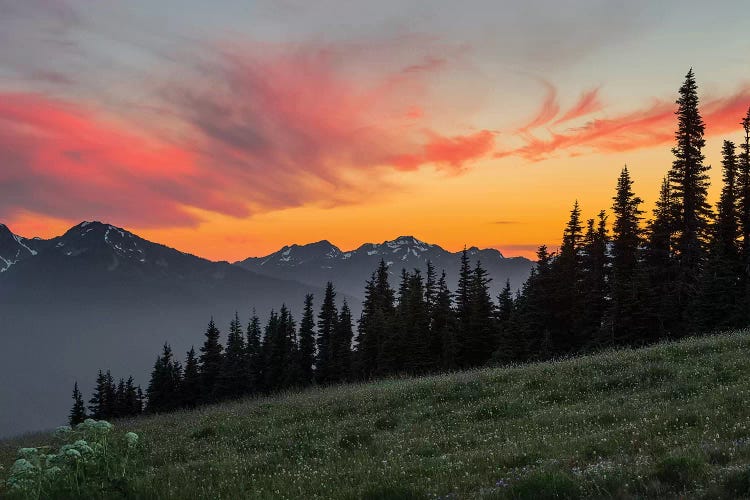 Majestic Sunset As Seen From Hurricane Ridge, Olympic National Park, Washington, USA