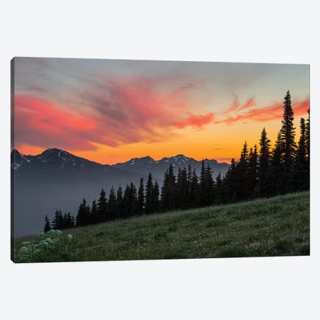 Majestic Sunset As Seen From Hurricane Ridge, Olympic National Park, Washington, USA Canvas Print #GLU5} by Gary Luhm Canvas Print