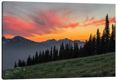 Majestic Sunset As Seen From Hurricane Ridge, Olympic National Park, Washington, USA Canvas Art Print