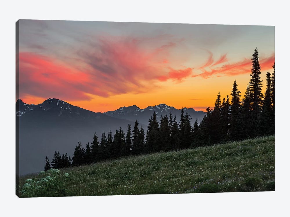 Majestic Sunset As Seen From Hurricane Ridge, Olympic National Park, Washington, USA by Gary Luhm 1-piece Canvas Art Print