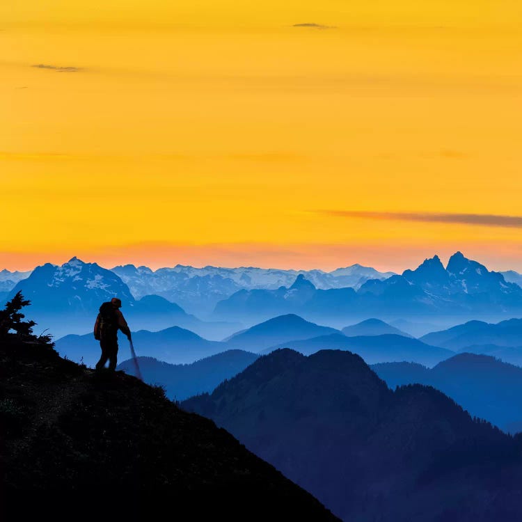 USA, Washington State. A backpacker descending from the Skyline Divide at sunset.