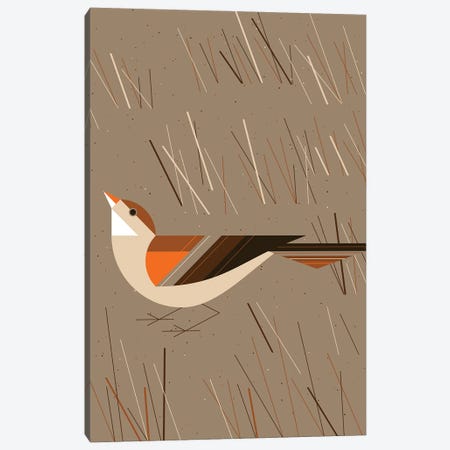 Grass Finch Canvas Print #GMA103} by Greg Mably Canvas Art