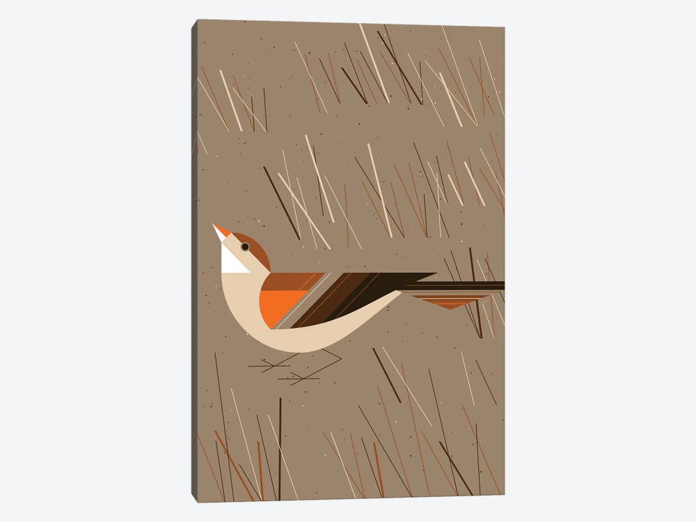 Grass Finch by Greg Mably 1-piece Canvas Print