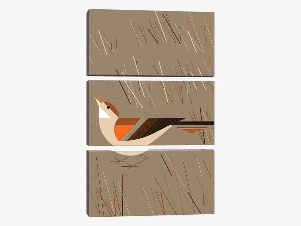 Grass Finch by Greg Mably 3-piece Canvas Print