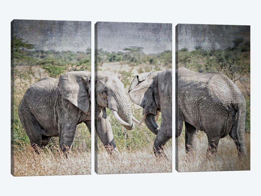 African Plains XI by Golie Miamee 3-piece Canvas Art