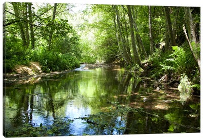 Scene Along The Water III Canvas Art Print - River, Creek & Stream Art