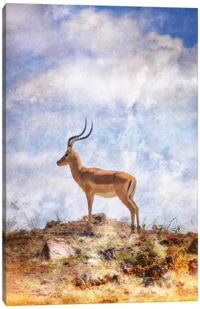 African Plains III Canvas Art Print - Golie Miamee