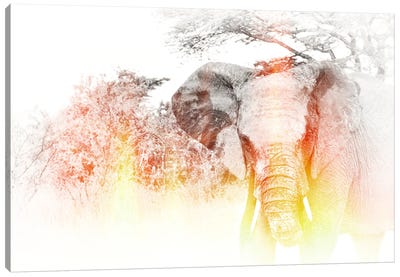 Golden Elephant Canvas Art Print - Wildlife Art