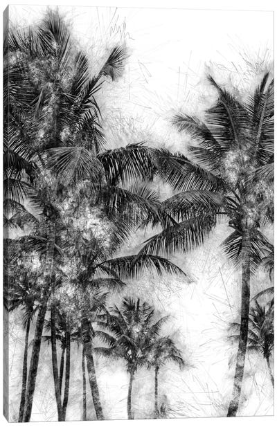 Dorado Palms Canvas Art Print - Golie Miamee