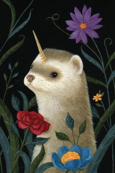 Ferrets: Petey the Ferricorn by Gina Matarazzo