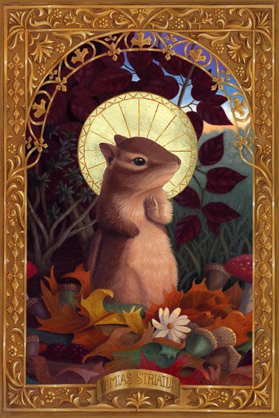 Chipmunks: Tamias Striatas by Gina Matarazzo