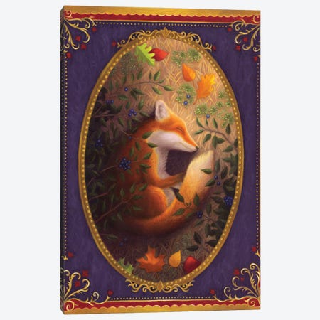 Sleeping Fox Canvas Print #GMR4} by Gina Matarazzo Canvas Print