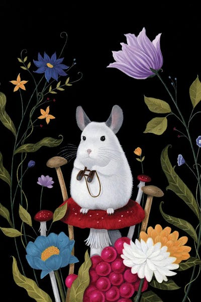 Rodents: An Adventure For Walter by Gina Matarazzo