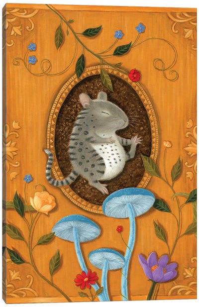 Benji the Bengal Mouse Canvas Art Print