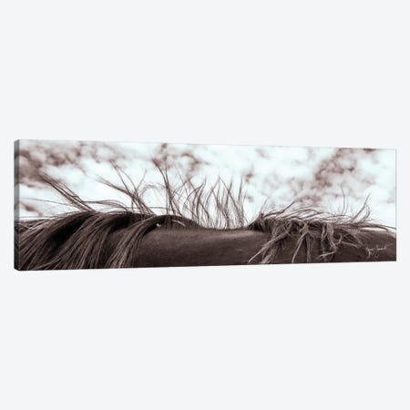 Dancing Mane Canvas Print #GMS12} by Jenny Gummersall Canvas Artwork