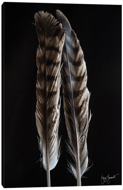 Two Feathers Vert Canvas Art Print - Jenny Gummersall