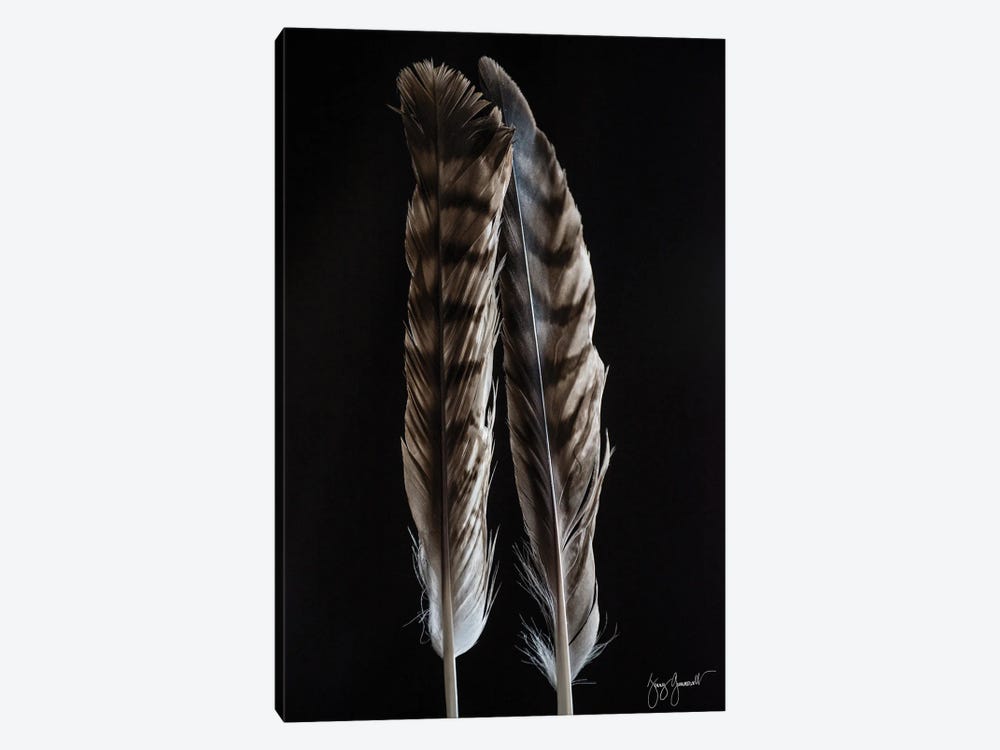 Two Feathers Vert by Jenny Gummersall 1-piece Canvas Artwork