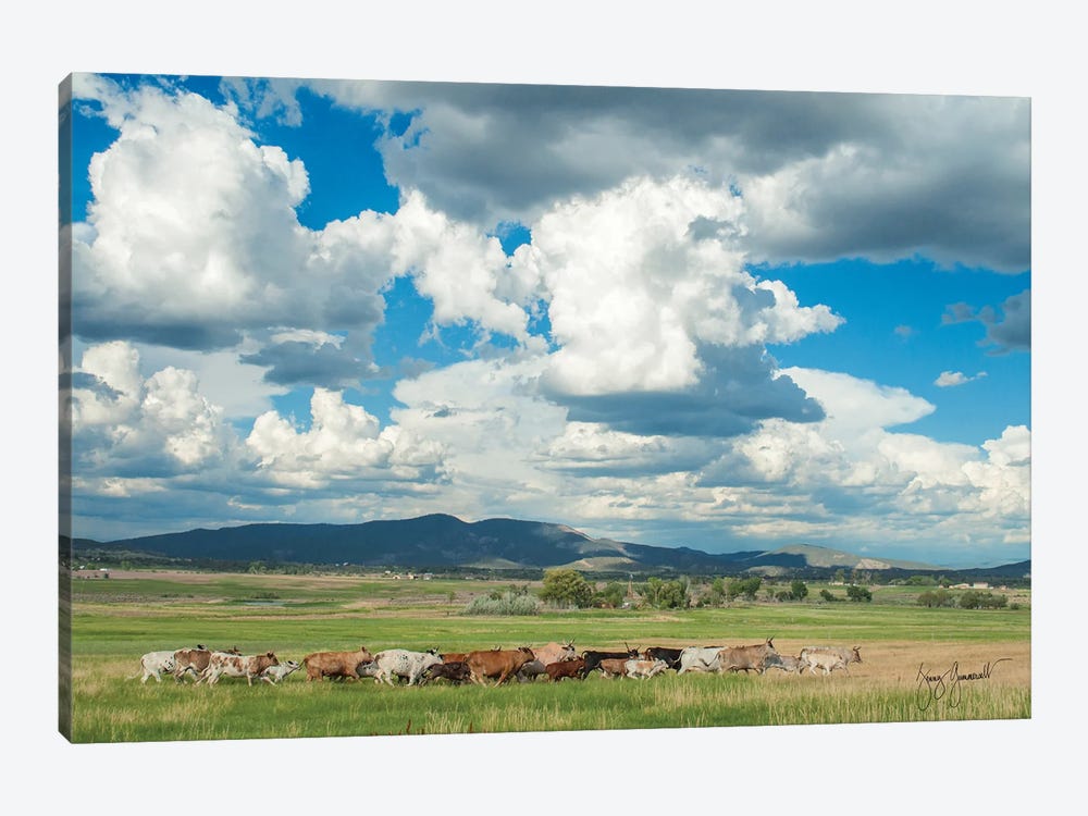 Cows N Calves Run Through North 40 - Clouds by Jenny Gummersall 1-piece Canvas Wall Art