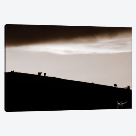 Horses On Hill Silhouetted Canvas Print #GMS39} by Jenny Gummersall Canvas Wall Art
