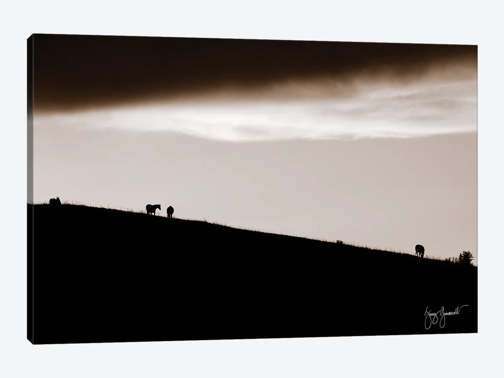 Horses On Hill Silhouetted by Jenny Gummersall 1-piece Canvas Print