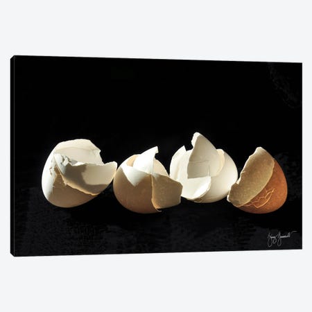 Four Broken Eggs Canvas Print #GMS43} by Jenny Gummersall Canvas Print