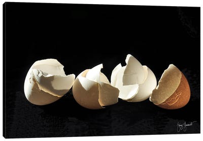 Four Broken Eggs Canvas Art Print - Jenny Gummersall