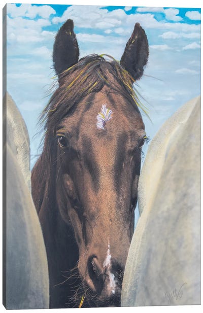 Horse Peaks Through Under Cerulean Sky Canvas Art Print - Jenny Gummersall