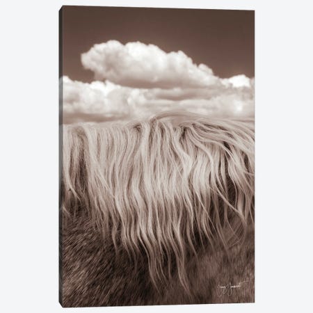 Thick Mane and Sky Canvas Print #GMS59} by Jenny Gummersall Canvas Art