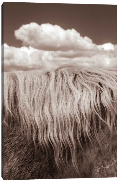 Thick Mane and Sky Canvas Art Print - Natural Elements