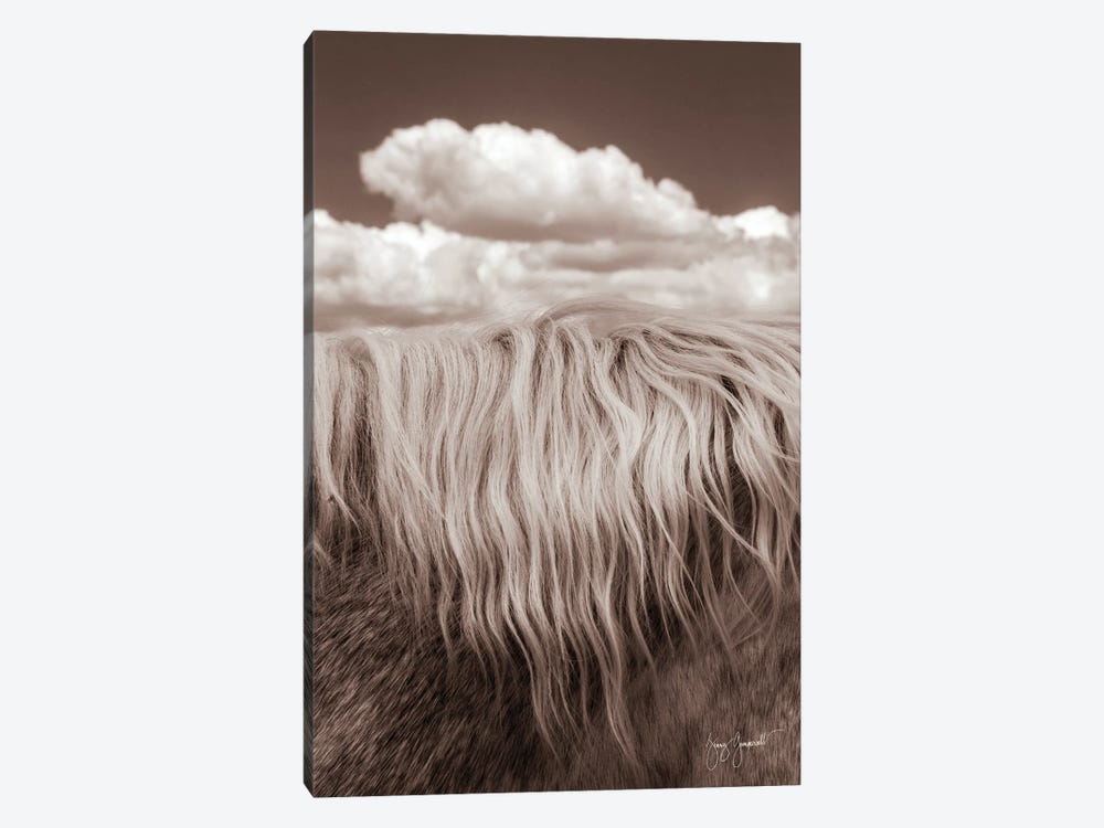 Thick Mane and Sky by Jenny Gummersall 1-piece Canvas Print