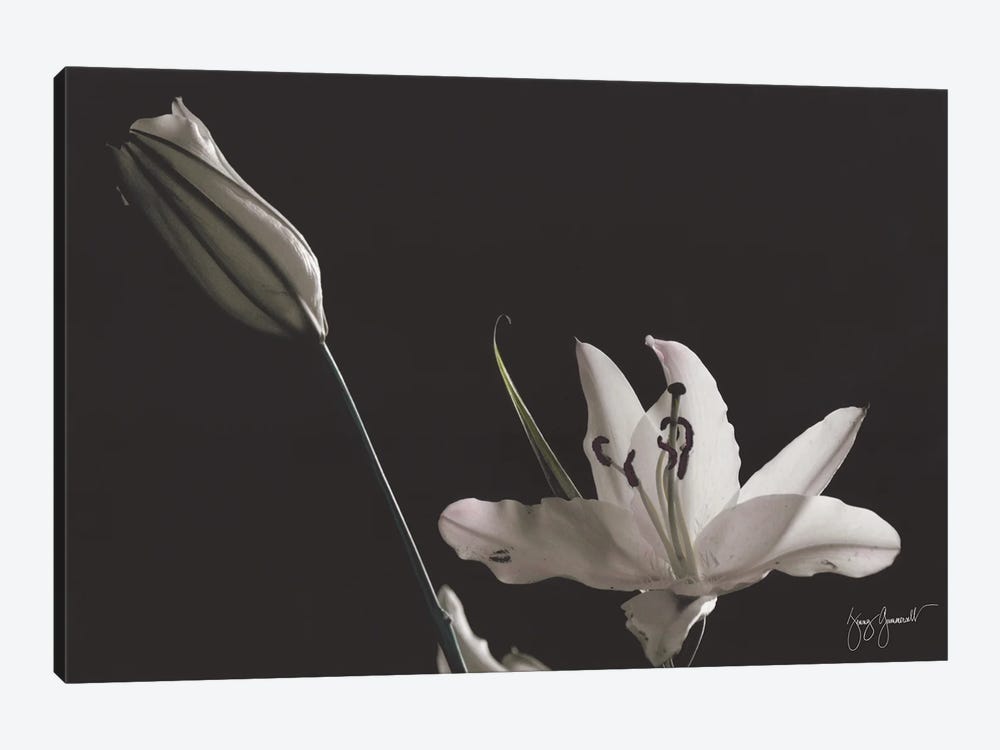 Two Lilies Hand Colored by Jenny Gummersall 1-piece Canvas Print