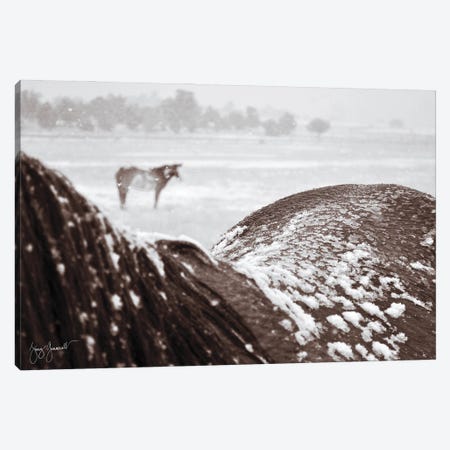 Yesterdays Snow Canvas Print #GMS72} by Jenny Gummersall Canvas Wall Art