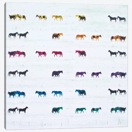 FiftyFour Horses Hand Colored Canvas Print #GMS79} by Jenny Gummersall Canvas Artwork