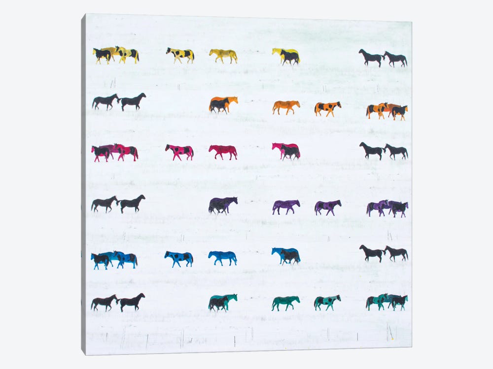 FiftyFour Horses Hand Colored by Jenny Gummersall 1-piece Canvas Print