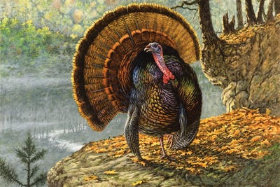 Golden Glow by Geoff Mowery framed canvas print