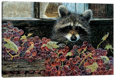 Harvest Bandit Canvas Art Print - Raccoon Art