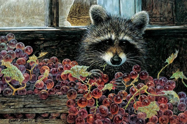 Raccoons: Harvest Bandit by Geoff Mowery