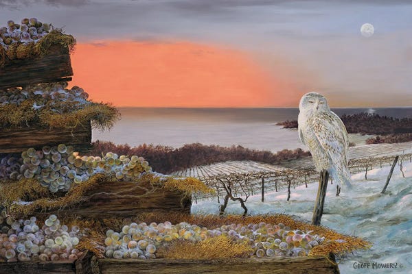 Vineyards: Ice Wine Country by Geoff Mowery