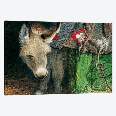 Little One Canvas Print #GMW16} by Geoff Mowery Canvas Art Print