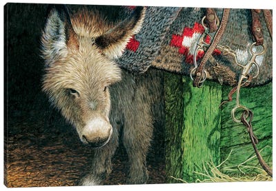 Little One Canvas Art Print - Donkey Art