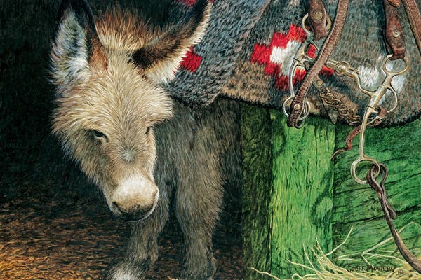 Donkeys: Little One by Geoff Mowery