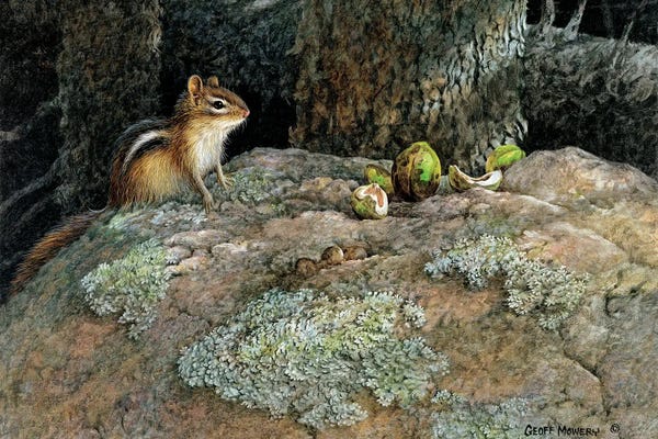 Chipmunks: Nutcracker by Geoff Mowery