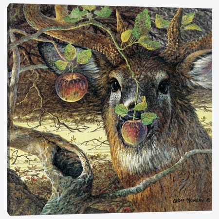 Orchard Visitor Canvas Print #GMW20} by Geoff Mowery Canvas Art Print