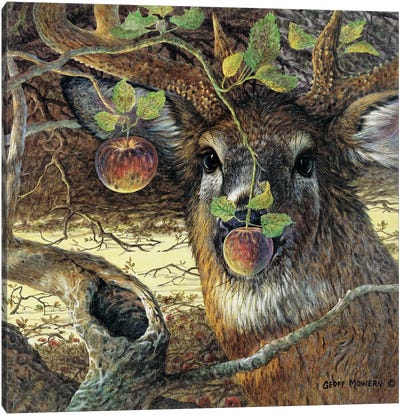 Orchard Visitor Canvas Art Print - Apple Tree Art