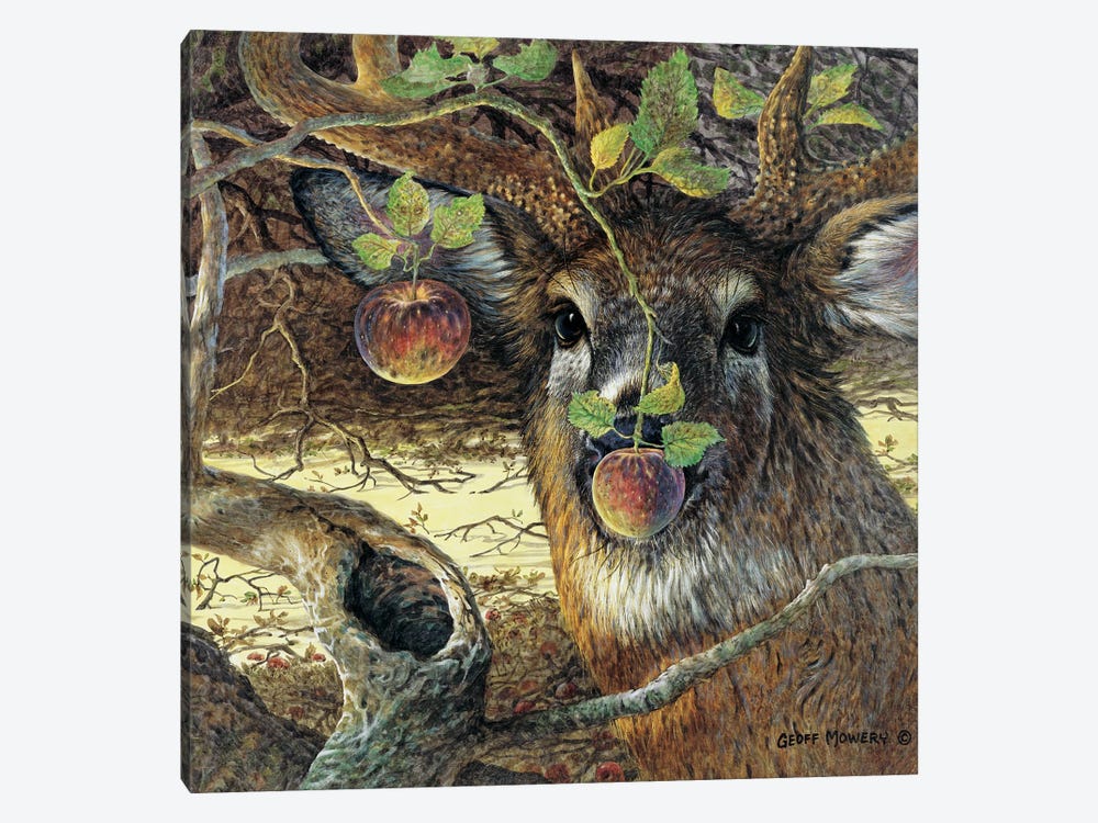 Orchard Visitor by Geoff Mowery 1-piece Canvas Art