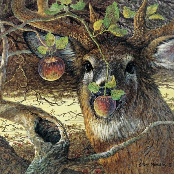 Apple Trees: Orchard Visitor by Geoff Mowery