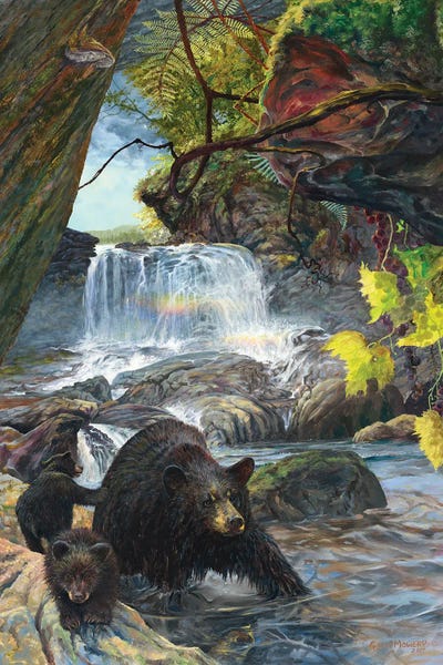 Black Bears: Simply Complex by Geoff Mowery